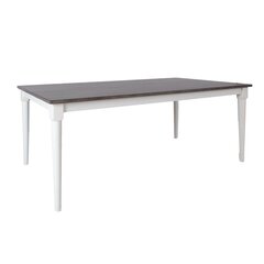 Обеденный стол Home4You Janelle, серый/белый цена и информация | Кухонные и обеденные столы | kaup24.ee