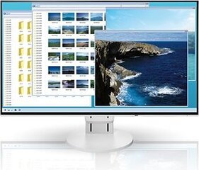 Eizo FlexScan EV2451 цена и информация | Мониторы | kaup24.ee