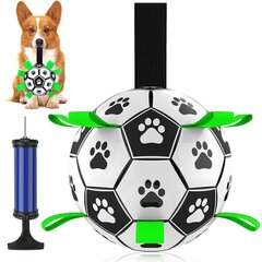 Jalgpallipall koertele Ronald цена и информация | Игрушки для собак | kaup24.ee