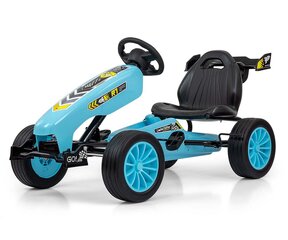 Kart lastele Milly Mally hind ja info | Poiste mänguasjad | kaup24.ee