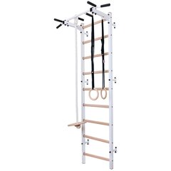 BenchK 311W A076 деревянная и металлическая гимнастическая лестница с металлической перекладиной и аксессуарами цена и информация | Шведские стенки | kaup24.ee
