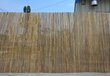 Bambusest kattematt, 1,2x3 m hind ja info | Aiad ja tarvikud | kaup24.ee