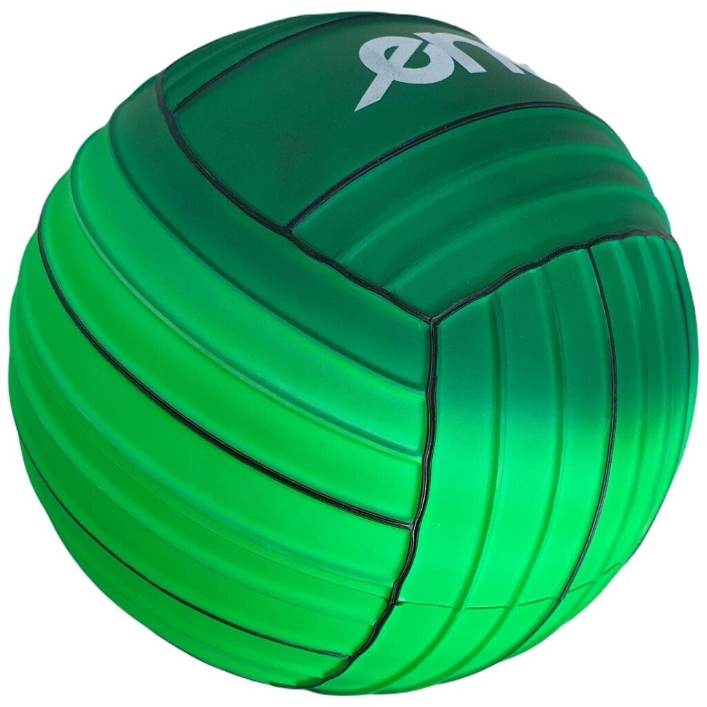 võrkpall - enero, roheline hind ja info | Võrkpalli pallid | kaup24.ee