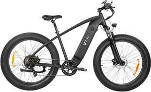 Электровелосипед DYU KING 750, 26", черный, 750Вт, 20Ач LG цена и информация | Электровелосипеды | kaup24.ee
