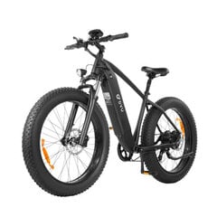 Elektrijalgratas DYU KING 750, 26", must цена и информация | Электровелосипеды | kaup24.ee
