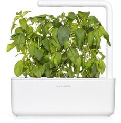 Click & Grow Smart Garden refill Лимонный базилик 3 шт. цена и информация | Семена приправ | kaup24.ee