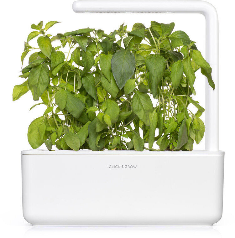 Laimbasiilik Click & Grow Smart Garden refill, 3tk hind ja info | Maitsetaimede seemned | kaup24.ee