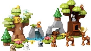 LEGO® Duplo 10979 Дикие животные Европы цена и информация | Конструкторы и кубики | kaup24.ee