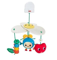 Jalutuskäru mänguasi beebile Fisher-Price FriendsWithYou цена и информация | Игрушки для малышей | kaup24.ee