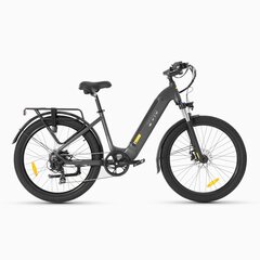 Электровелосипед DYU C1, 26", серый, 350Вт, 10Ач цена и информация | Электровелосипеды | kaup24.ee