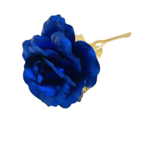 Stabiliseeritud roos, sinine hind ja info | Uinuvad roosid, taimed | kaup24.ee