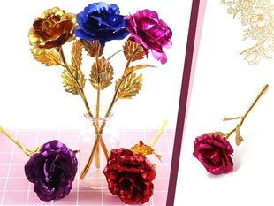 Stabiliseeritud roos, lilla цена и информация | Спящие стабилизированные розы, растения | kaup24.ee