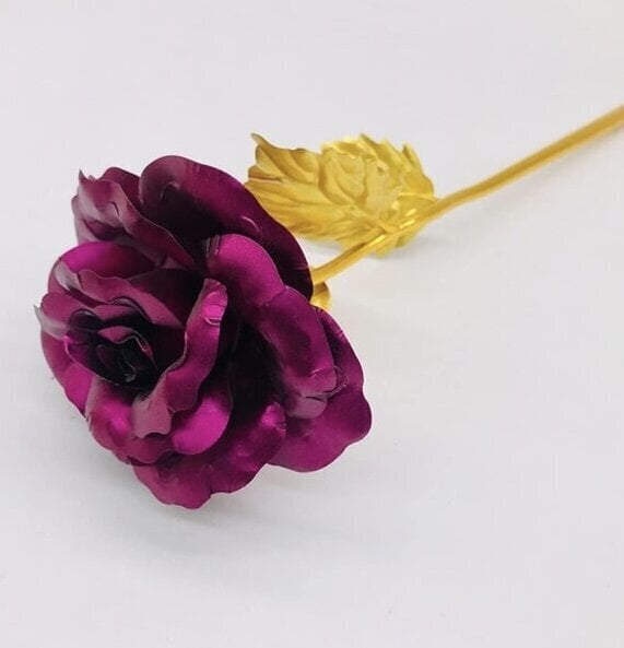 Stabiliseeritud roos, lilla цена и информация | Uinuvad roosid, taimed | kaup24.ee