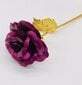 Stabiliseeritud roos, lilla цена и информация | Uinuvad roosid, taimed | kaup24.ee