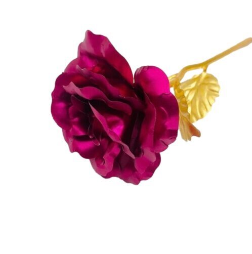 Stabiliseeritud igavene roos karbis, roosa hind ja info | Uinuvad roosid, taimed | kaup24.ee