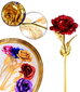 Stabiliseeritud roos, kuldset värvi hind ja info | Uinuvad roosid, taimed | kaup24.ee