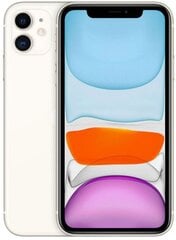 Смартфон Apple iPhone 11 64GB White MWLU2RM/A цена и информация | Мобильные телефоны | kaup24.ee