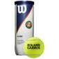 Tennisepall, s wilson roland garros, 3tk hind ja info | Välitennise tooted | kaup24.ee