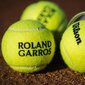 Tennisepall, s wilson roland garros, 3tk hind ja info | Välitennise tooted | kaup24.ee