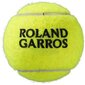 Tennisepall, s wilson roland garros, 3tk hind ja info | Välitennise tooted | kaup24.ee