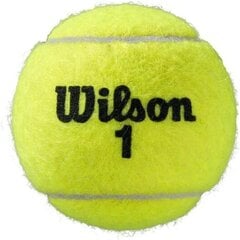 Tennisepall, s wilson roland garros, 3tk hind ja info | Välitennise tooted | kaup24.ee