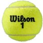 Tennisepall, s wilson roland garros, 3tk hind ja info | Välitennise tooted | kaup24.ee