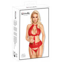 Seksikas pesukomplekt Kissable Suspender, L/XL, punane цена и информация | Сексуальное женское белье | kaup24.ee