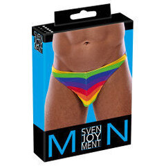 Men's Thong Rainbow L цена и информация | Сексуальное бельё для мужчин | kaup24.ee