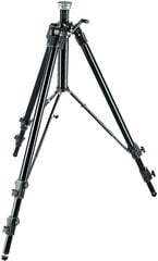 Штатив Manfrotto 161MK2B, черный цена и информация | Штативы для фотоаппаратов | kaup24.ee