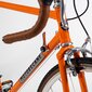 Jalgratas Motobecane Concept Team Champion, roheline - XL hind ja info | Jalgrattad | kaup24.ee