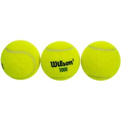 теннисные мячи, 3 шт. цена и информация | Товары для большого тенниса | kaup24.ee