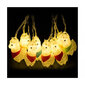 LED-tuled Alpaca, 10 tulega hind ja info | Peokaunistused | kaup24.ee