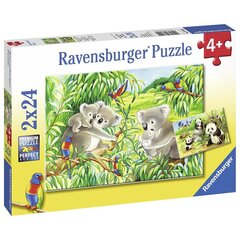 Ravensburger pusle Koalad ja pandad, 2x24 tk hind ja info | Pusled | kaup24.ee