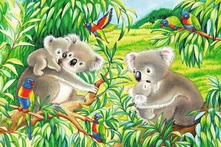 Ravensburger pusle Koalad ja pandad, 2x24 tk hind ja info | Pusled | kaup24.ee