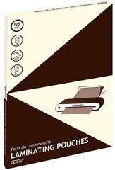 Конверт с ламинацией GRAND, А3 (303х426 мм), 125 мкр цена и информация | Канцелярские товары | kaup24.ee