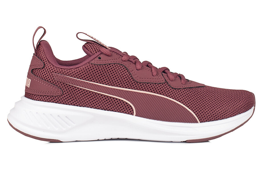 Spordijalatsid naistele Puma Incinerate Wood Violet-White 376288 22 цена и информация | Naiste spordi- ja vabaajajalatsid | kaup24.ee