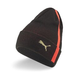 Vabaajamüts täiskasvanutele Puma Neymar JR Diamond Bronx Beanie Pu - 02435001 02435001.X цена и информация | Женские шапки | kaup24.ee