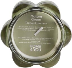 Lõhnaküünal klaasis Nature Green H9,2cm, Tranquil Summer hind ja info | Küünlad, küünlajalad | kaup24.ee