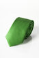 Lips Nino Pacoli BAKLAVANO4F-OS, roheline hind ja info | Lipsud, kikilipsud | kaup24.ee