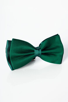 Kikilips Nino Pacoli BOWTIEDESGREEN-OS, roheline hind ja info | Lipsud, kikilipsud | kaup24.ee