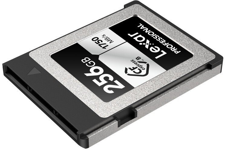 Lexar mälukaart CFexpress 256GB Professional Type B Silver hind ja info | Mobiiltelefonide mälukaardid | kaup24.ee