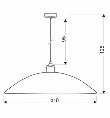 Rippvalgusti Dexter hind ja info | Rippvalgustid | kaup24.ee