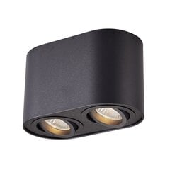 Светильник на потолок Rondoc цена и информация | Потолочные светильники | kaup24.ee
