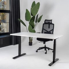 Reguleeritav laud Ergostock Unico line 180x80 White hind ja info | Arvutilauad, kirjutuslauad | kaup24.ee