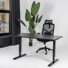 Регулируемый стол Ergostock Forza line 120x80 Black цена и информация | Компьютерные, письменные столы | kaup24.ee
