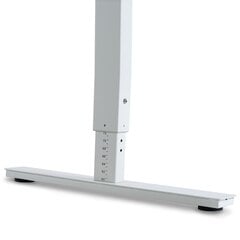 Reguleeritav laud Ergostock Forza line 160x80 Wallnut цена и информация | Компьютерные, письменные столы | kaup24.ee