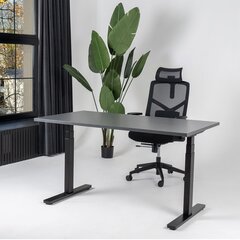Reguleeritav laud Ergostock Unico line 160x80, mitmevärviline hind ja info | Arvutilauad, kirjutuslauad | kaup24.ee