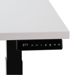 Reguleeritav laud Ergostock Prestige line 160x80cm, valge hind ja info | Arvutilauad, kirjutuslauad | kaup24.ee