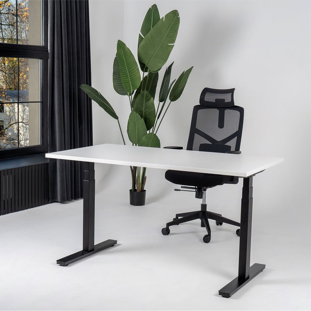 Reguleeritav laud Ergostock Prestige line 160x80cm, valge hind ja info | Arvutilauad, kirjutuslauad | kaup24.ee