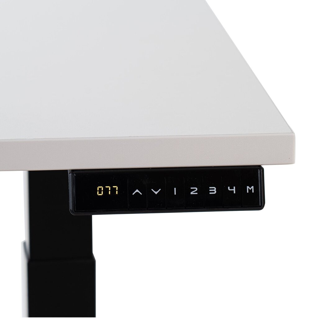 Reguleeritav laud Ergostock Prestige line 120x80cm, valge hind ja info | Arvutilauad, kirjutuslauad | kaup24.ee